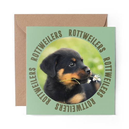 Blank greeting card - 1,
