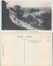 Old Pier from the Woods Weston