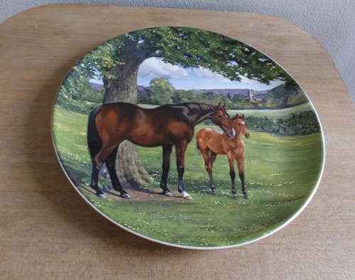 Vintage spode the - spode,
