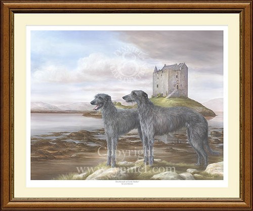 Deerhounds limited edition - limited,
