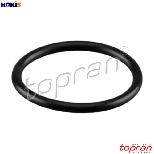 Seal ring oil - oil, drain