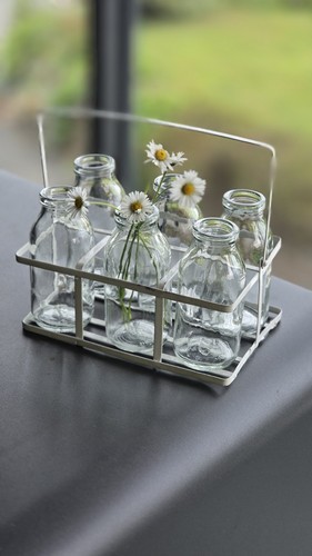 Set mini glass milk - 6,