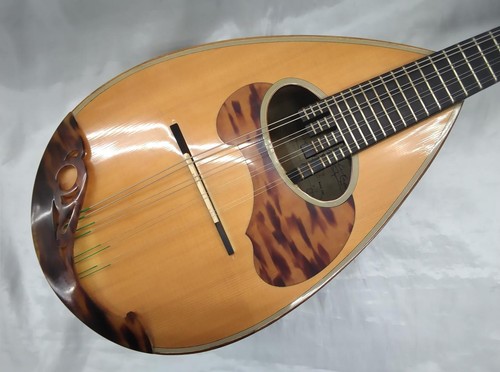 Calace classico mandolin - classico,