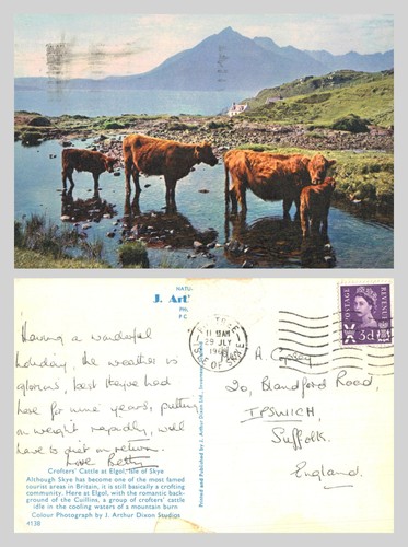 Vintage postcard highland - vintage,