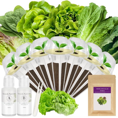 Salad greens seed pod kit - salad,