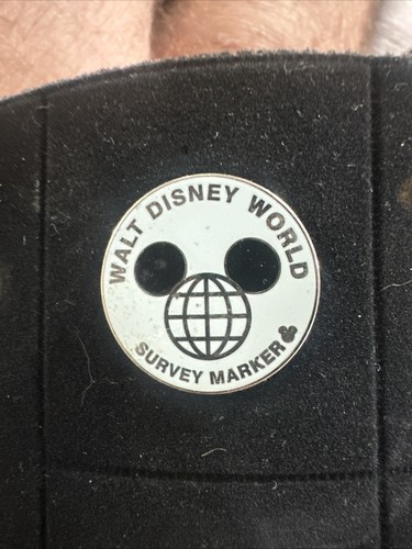 Walt disney world survey - walt,