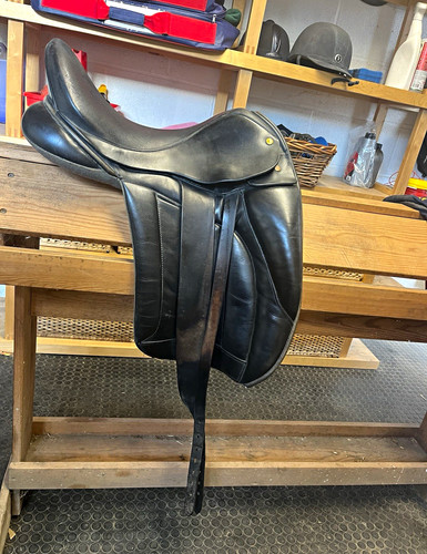 Black country vinici - country, dressage