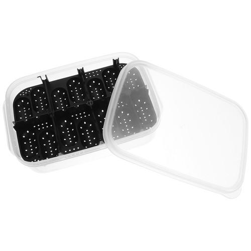 Reptile egg incubator - reptile,
