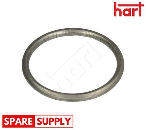 Seal ring exhaust - exhaust, pipe