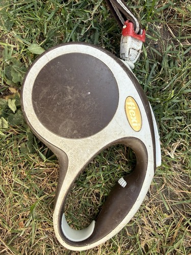 Flexi dog lead - dog,