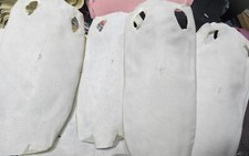 7in Real Stingray Fish Skin