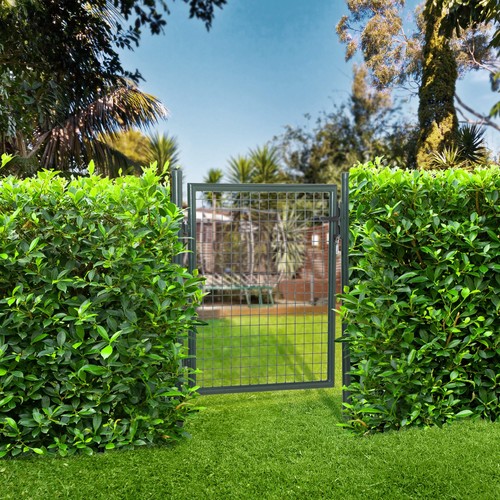 Steel garden gate - garden, outdoor