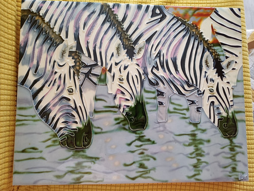 Stunning wildlife zebras - stunning,