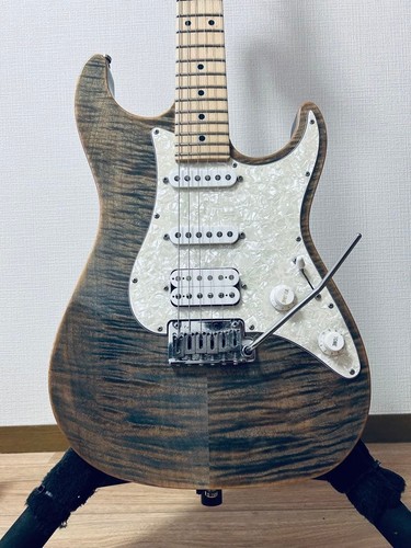 Suhr standard pro - pro, electric
