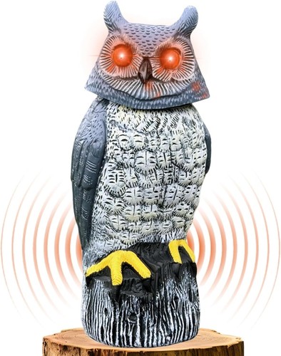 Solar powered garden owl - garden,