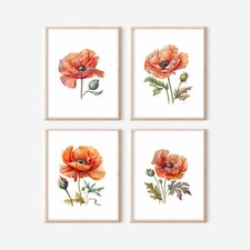 Set of Watercolour Poppy ART