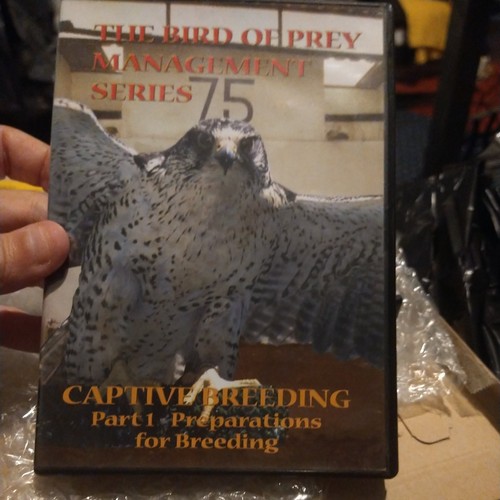 The bird prey management - of,
