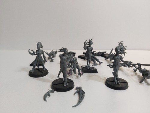 Warhammer daemonettes - 10,