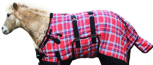 Challenger 1200d foal - challenger,