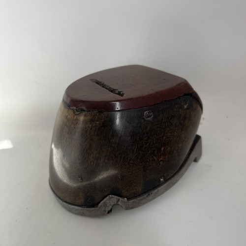 Antique victorian taxidermy - antique,