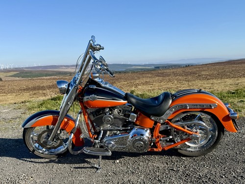 2010 harley davidson - harley-davidson, softail
