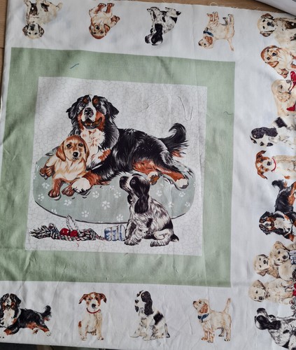 Bernese mountain dog - dog, cushion