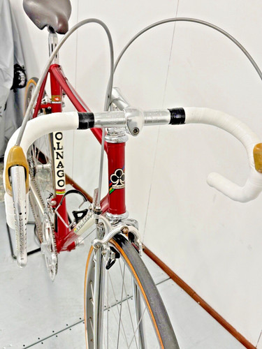 Team scic bottecchia - team, 1979