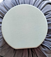 Coast Mint  Green Faux Snake