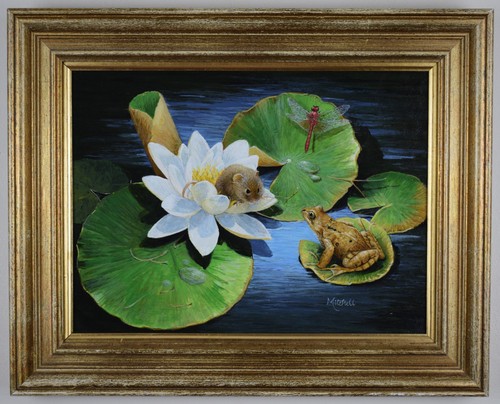 Water vole frog original - vole,