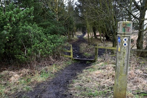 Photo 12x8 waggonway towards - 12x8,