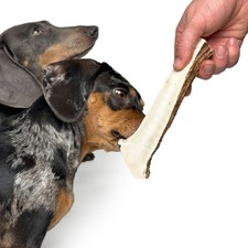 Split Elk Antler Dog Chew |