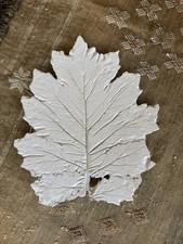 Plaster Cast Acanthus Leaf
