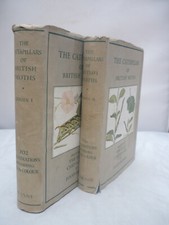 The Caterpillars of British