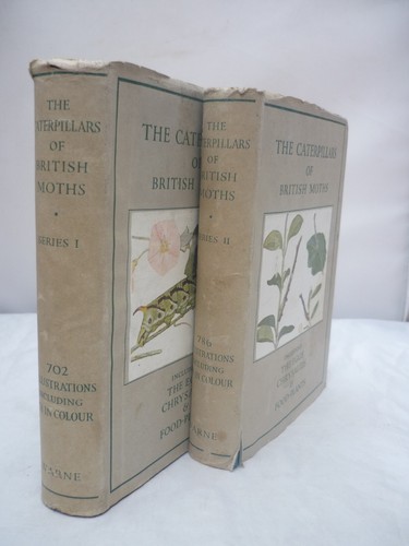 The caterpillars british - caterpillars, of
