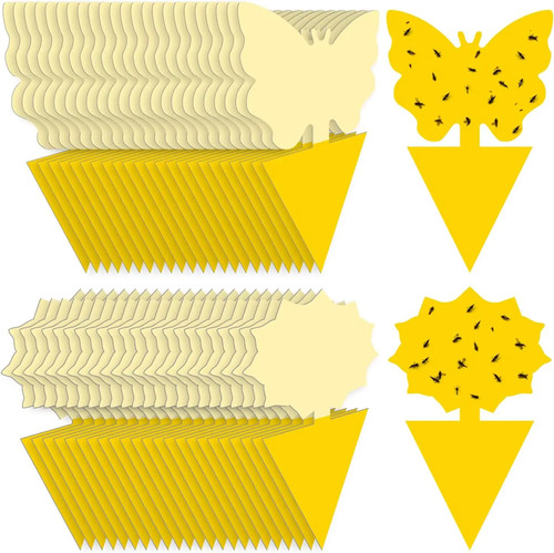 Landisun fruit fly - landisun,