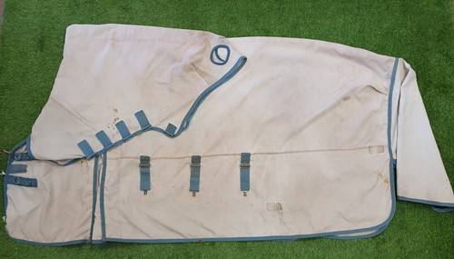 7ft3 epic big horse shop - 7ft3,