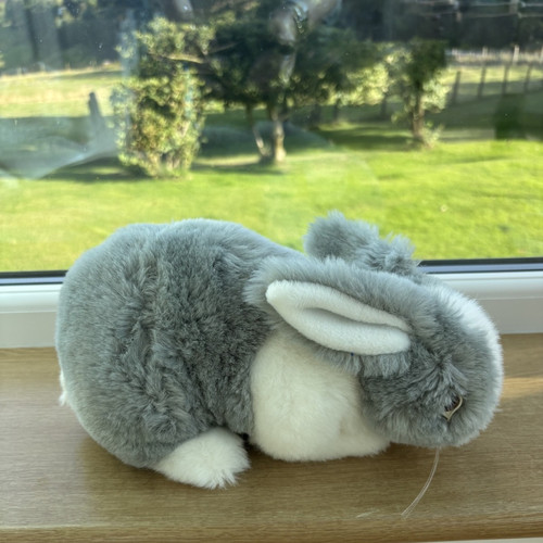 Grey white bunny rabbit - grey, &