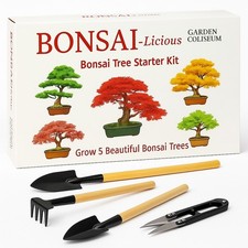 BONSAI TREE KIT - Grow 6 of Your Own Bonsai Trees From Seeds. Includes Tool Kit.