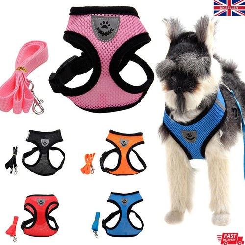 Dog harness pull - for, small
