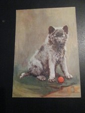 Postcard of The Keeshond (DE