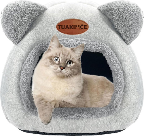 Cat beds for indoor cats - cat, cats,