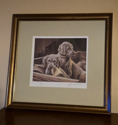 Mick cawston dog weimaraner - cawston,
