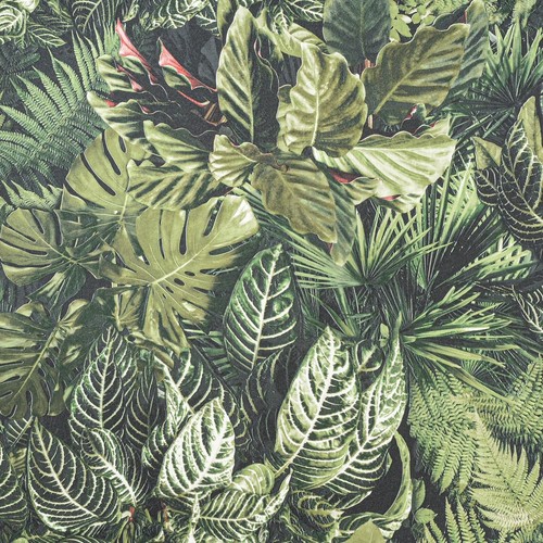 Green tropical leaf - green,