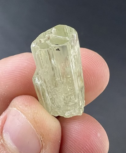 Heliodorus from afghanistan - heliodorus,