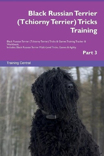 Black russian terrier - russian,
