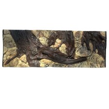 AQUARIUM BACKGROUND 3D FOR