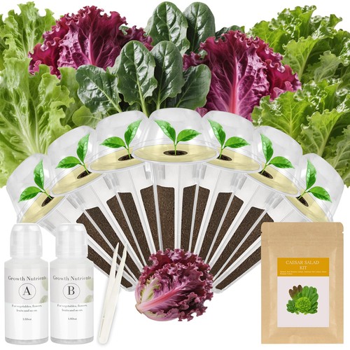 Pod salad seed kit - "7-pod,