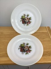 2 x Dinner Plates Vintage