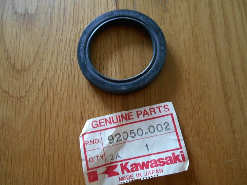 Kawasaki front brake panel - front,