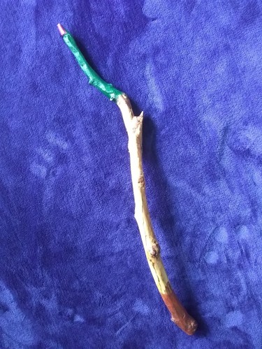Witches wand - witches, finger